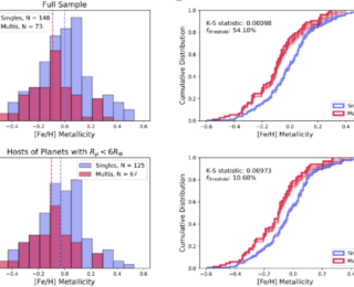 Siblings vs Only Planets: Traits and Dynamics of M dwarf Families